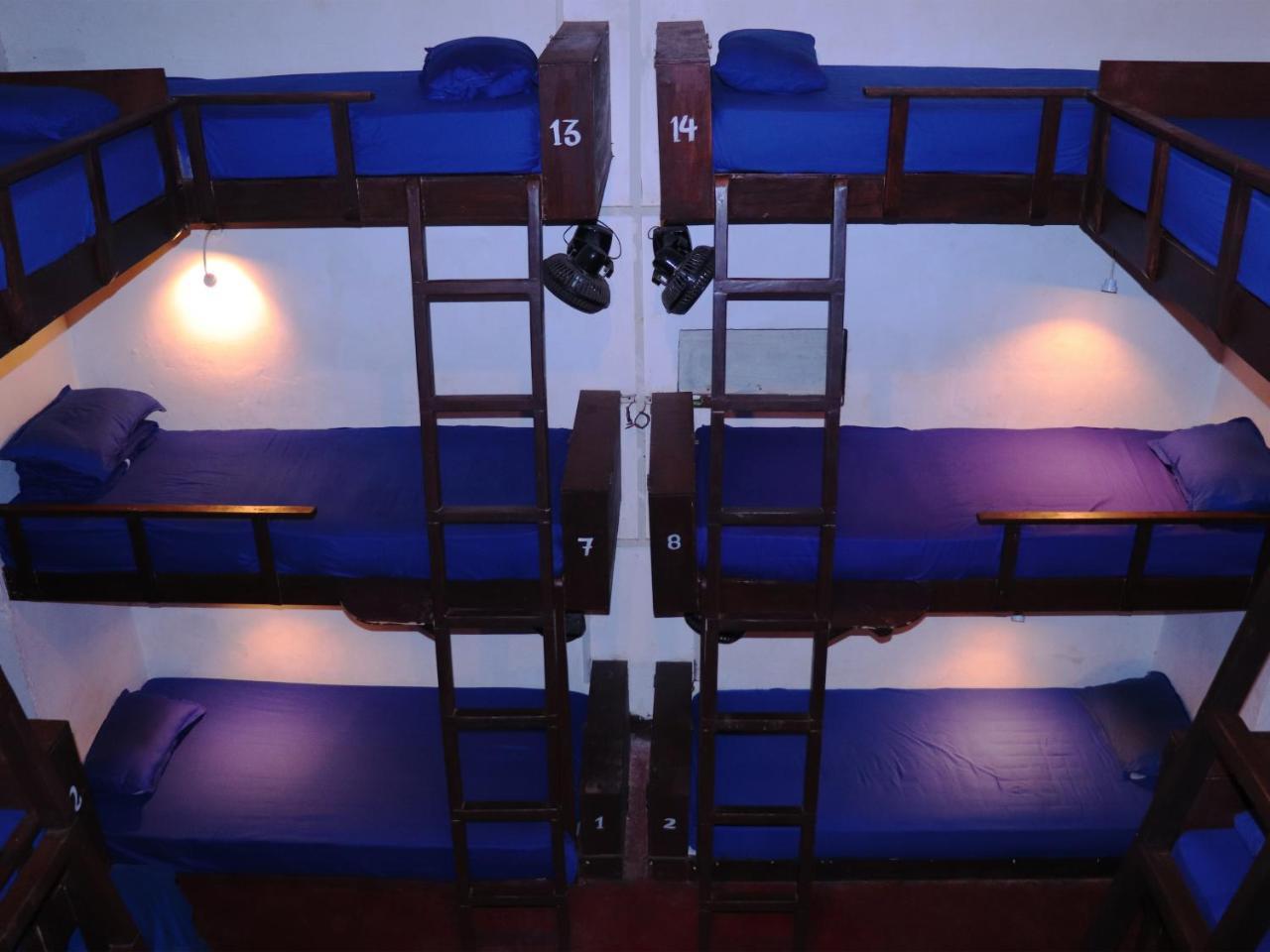 That Crazy Hostel Anjuna Ngoại thất bức ảnh